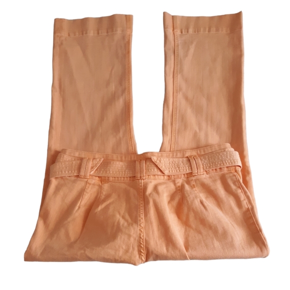 Pilcro and the Letterpress By Anthropologie High-Rise Flare Size 31 Crop Pants - Picture 5 of 15